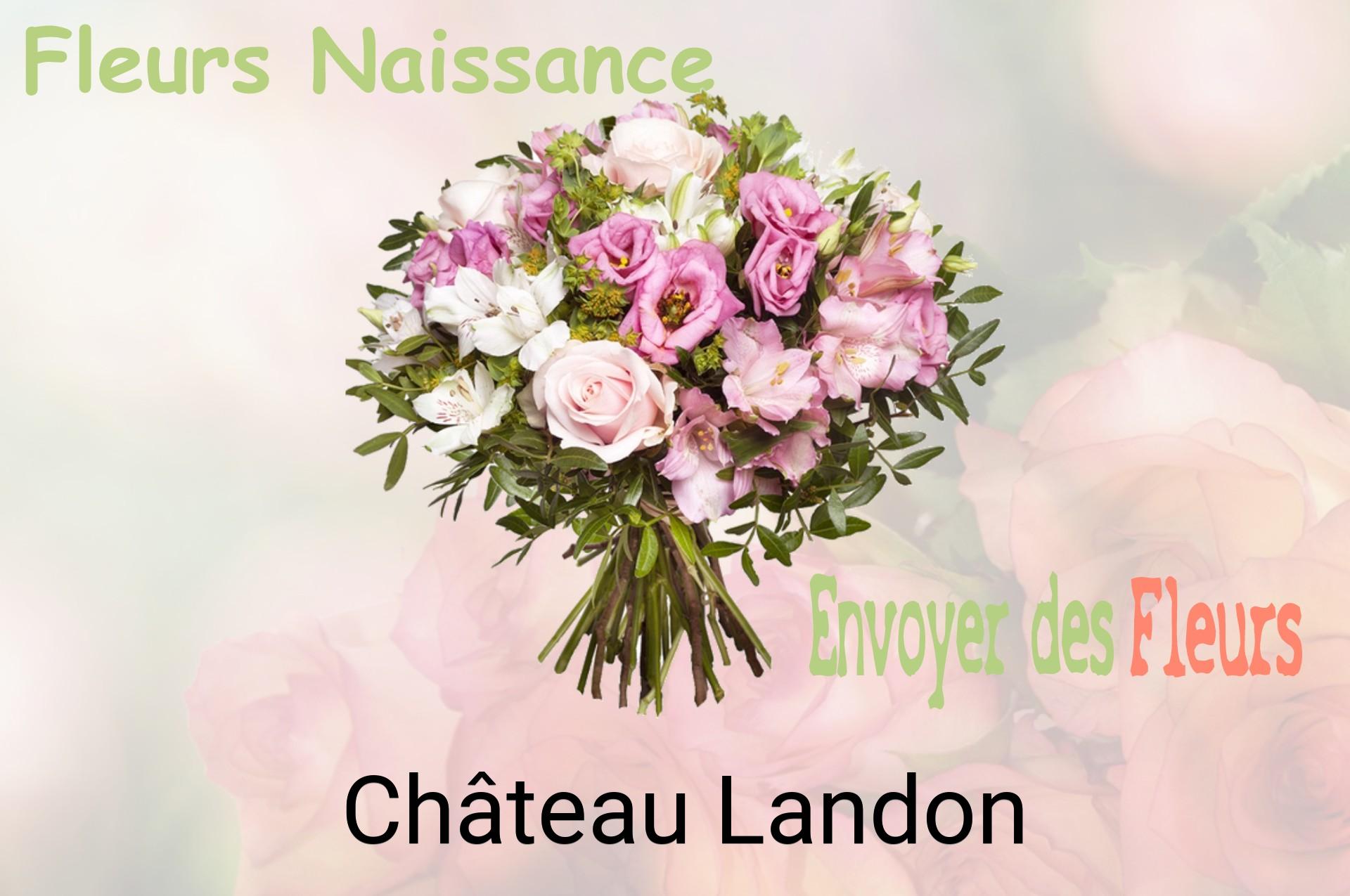Bouquet de fleurs de naissance livré à Château-Landon