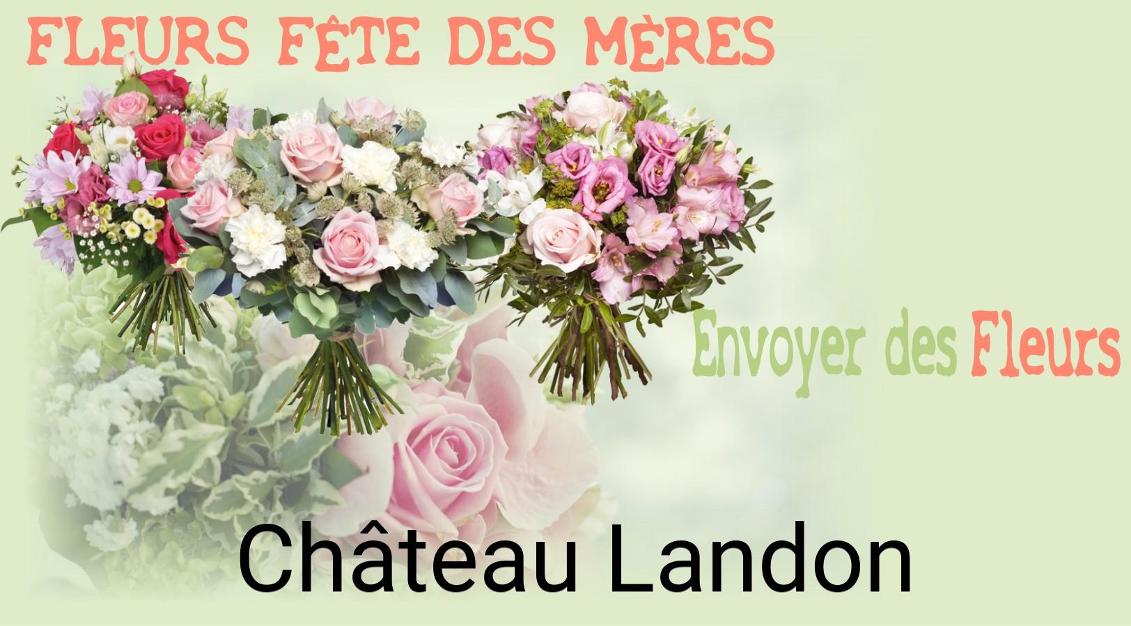 Bouquet de Fête des Mères livré à Château-Landon